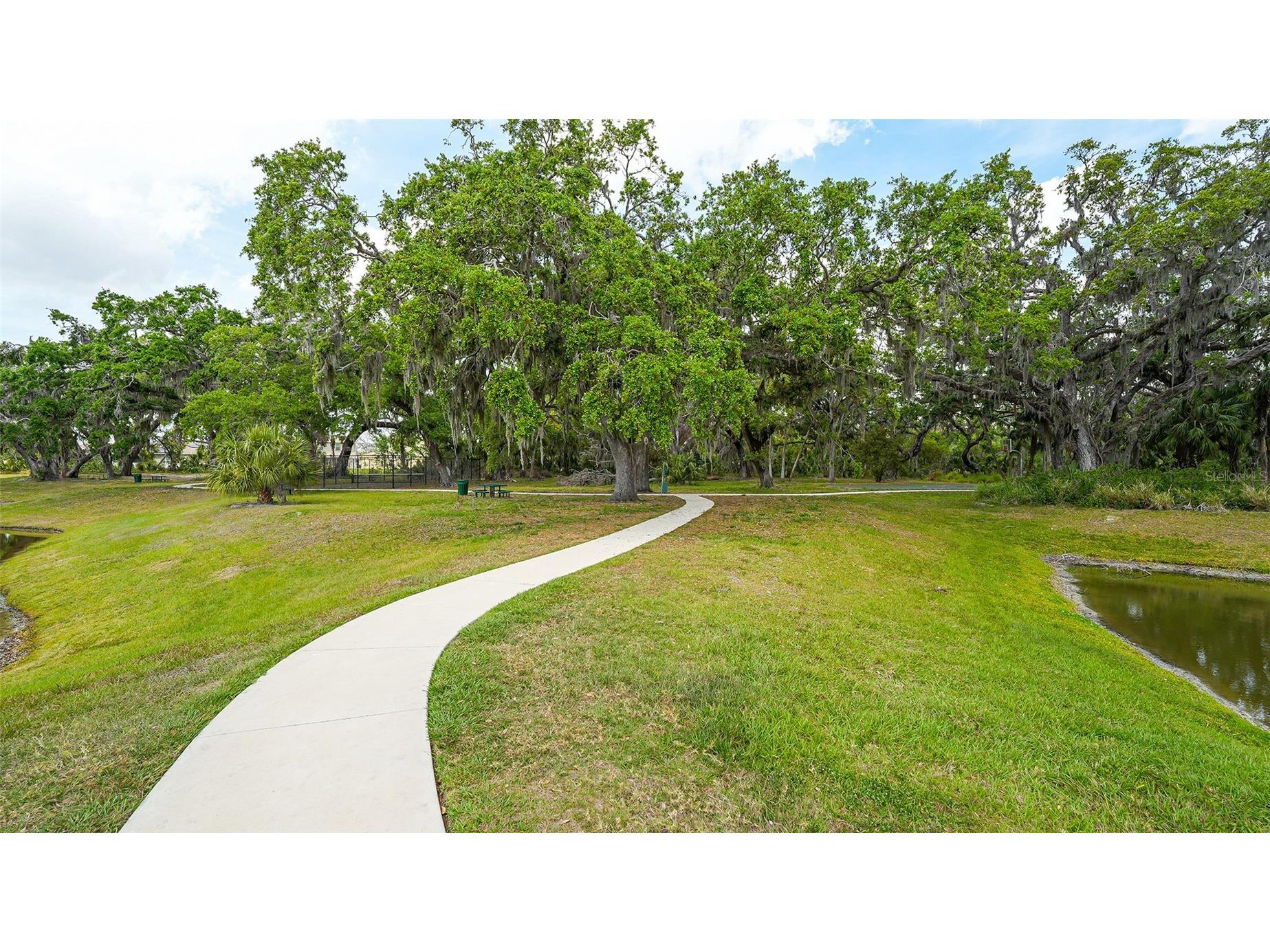 6008 113th Terrace E Parrish FL 34219 A4697801 image45