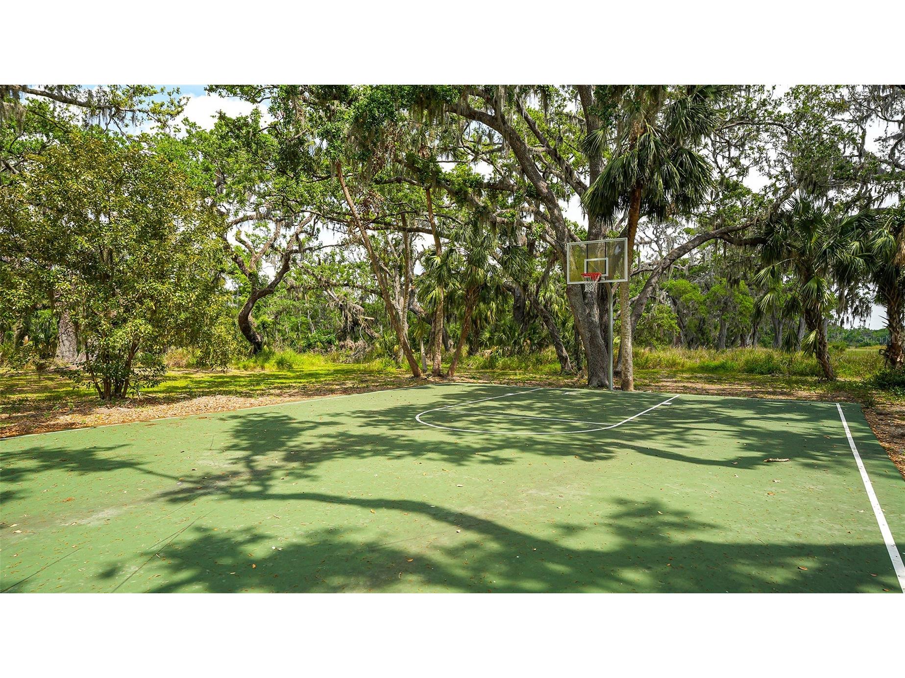 6008 113th Terrace E Parrish FL 34219 A4697801 image46