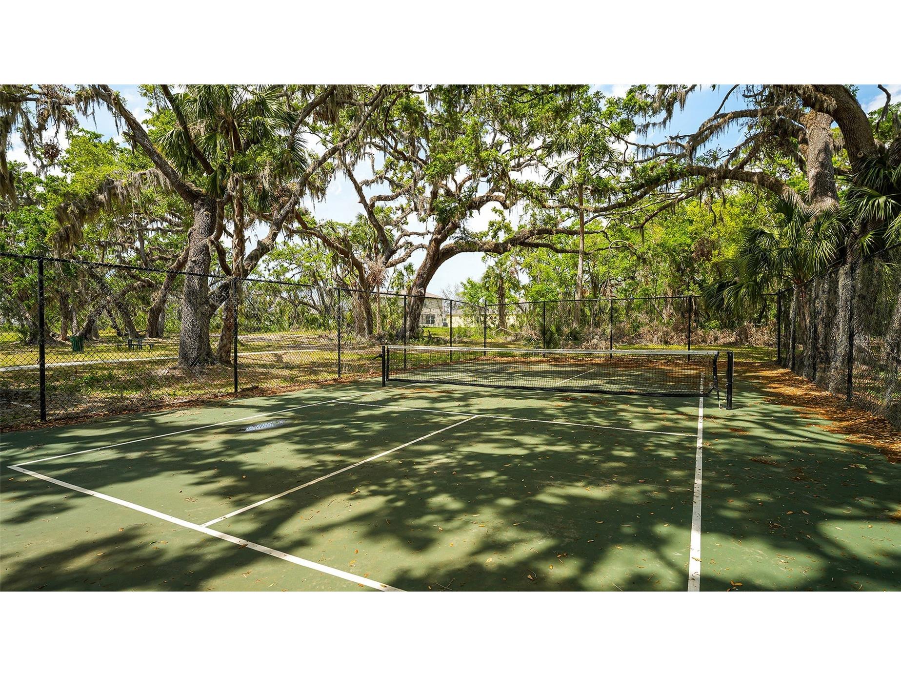 6008 113th Terrace E Parrish FL 34219 A4697801 image47