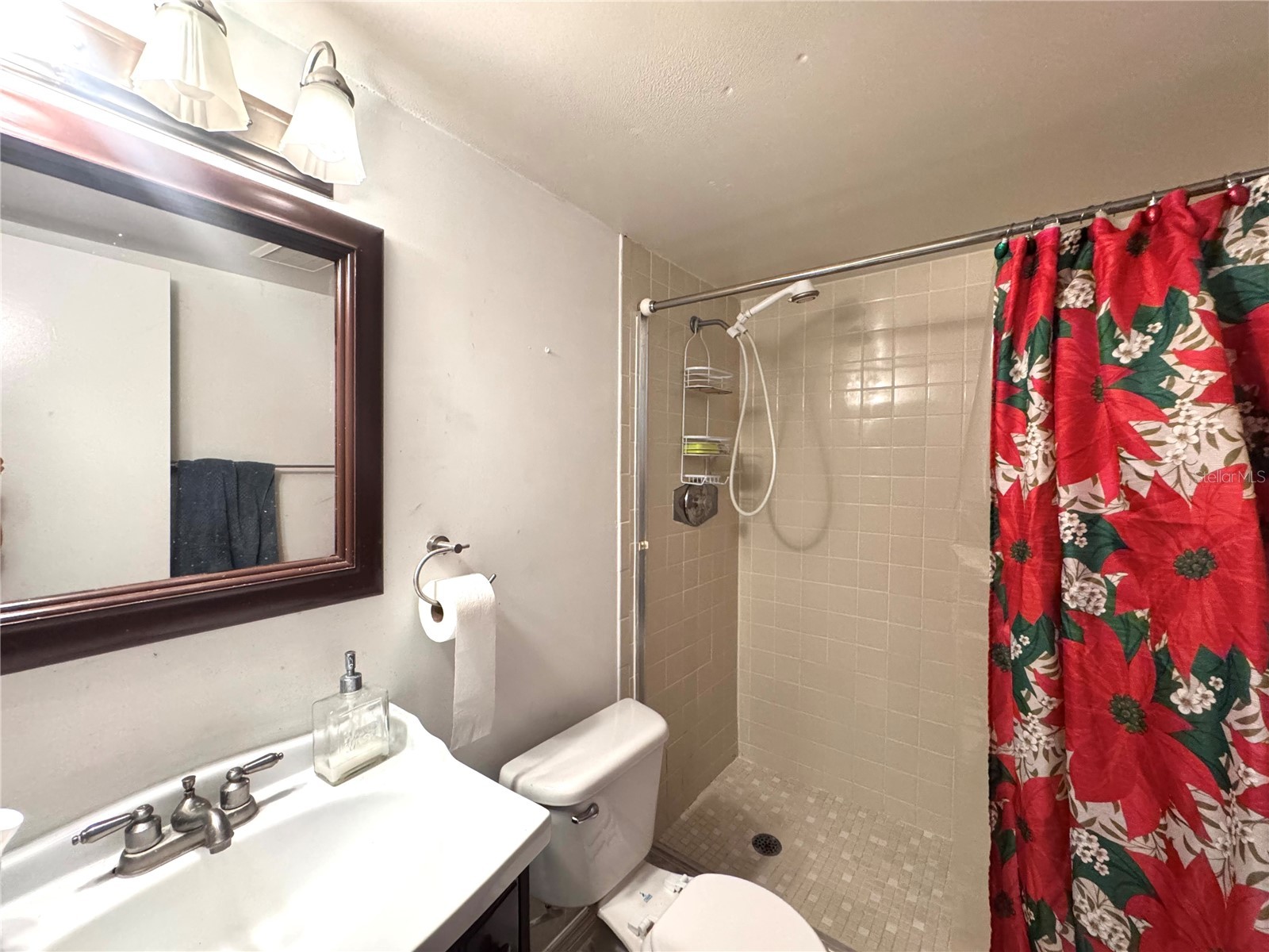 6008 Amberly Avenue #F63 Orlando FL 32822 O6393033 image9