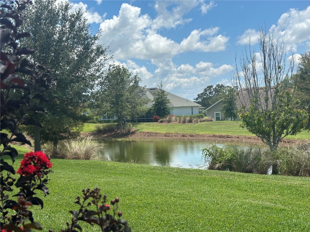 6008 Apex Way Lady Lake FL 32159 G5098078 image3