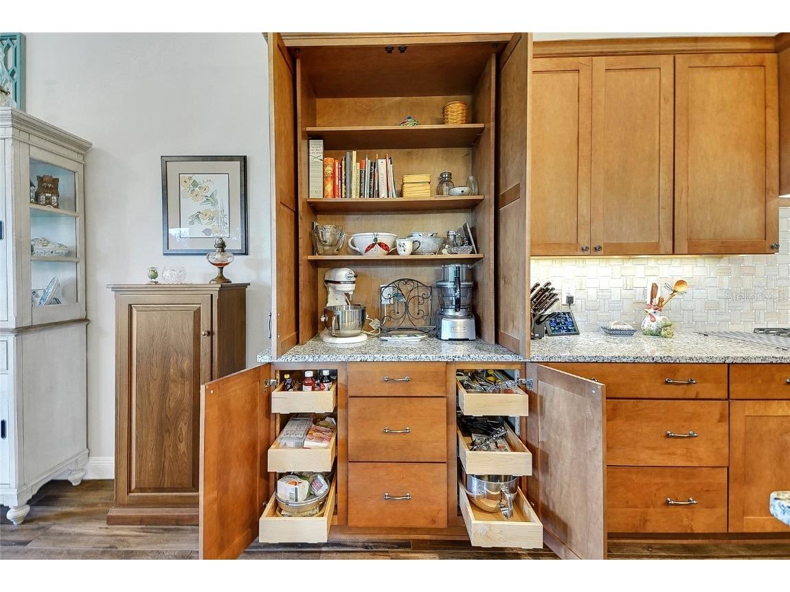 6008 Apex Way Lady Lake FL 32159 G5098078 image42