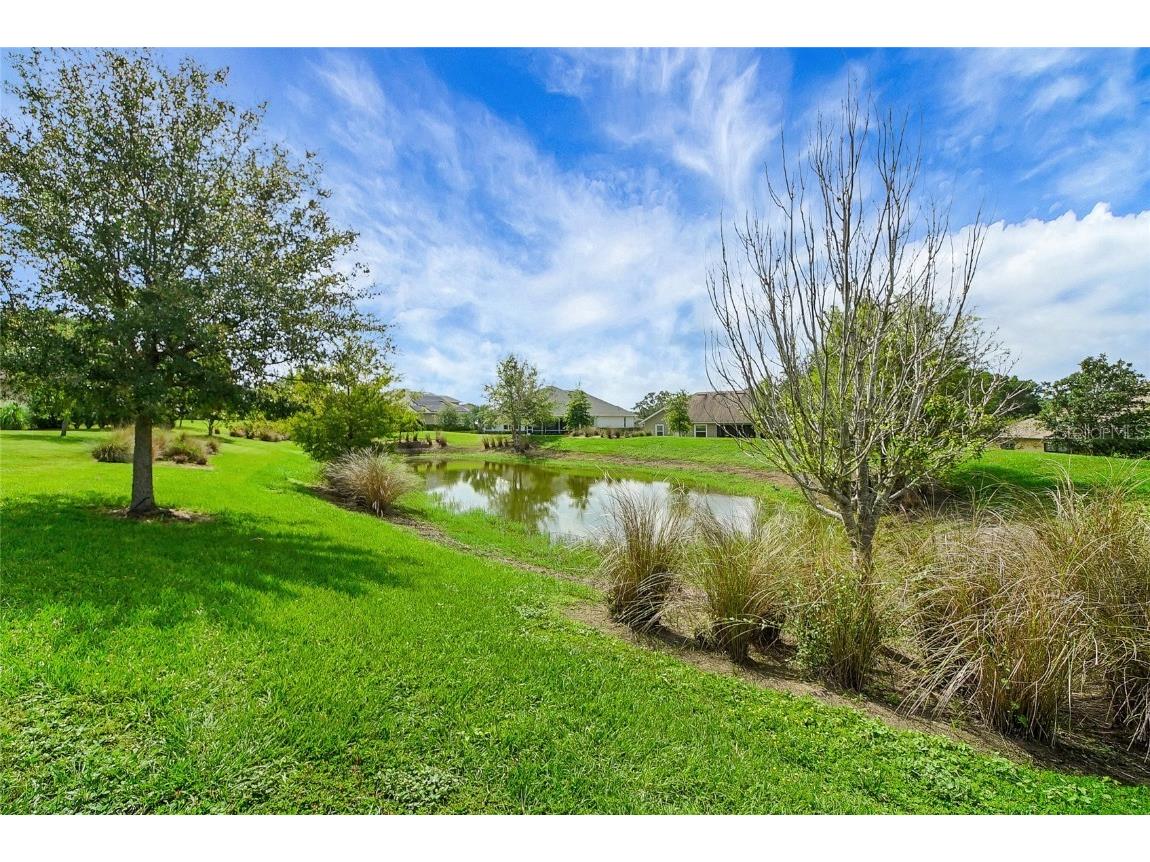 6008 Apex Way Lady Lake FL 32159 G5098078 image52