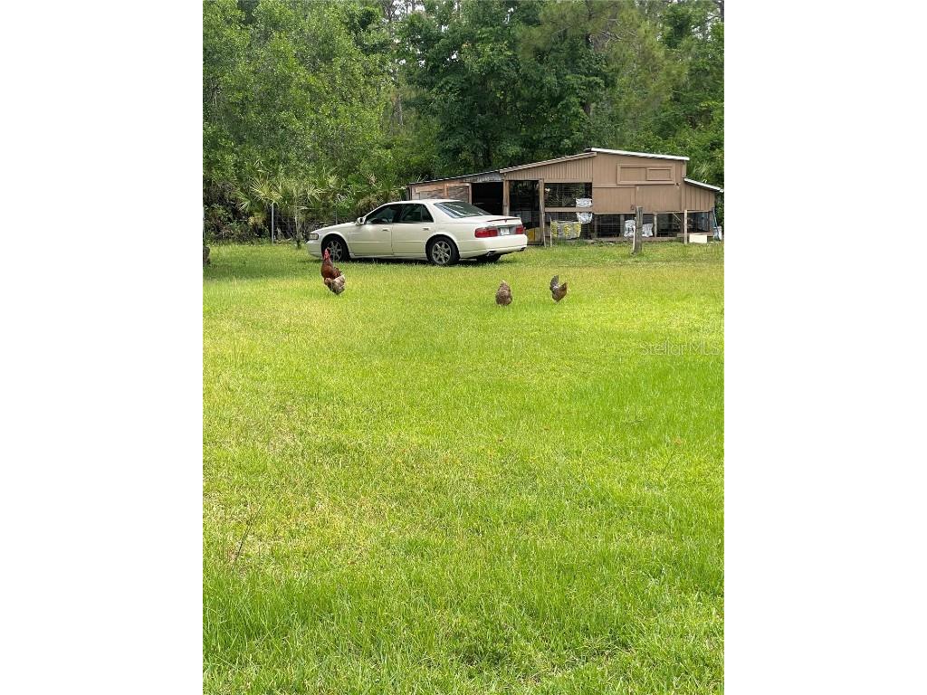 6008 Mahogany Boulevard Bunnell FL 32110 FC300919 image18