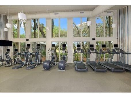 6008 Shell Ridge Drive Lithia FL 33547 TB8425768 image40