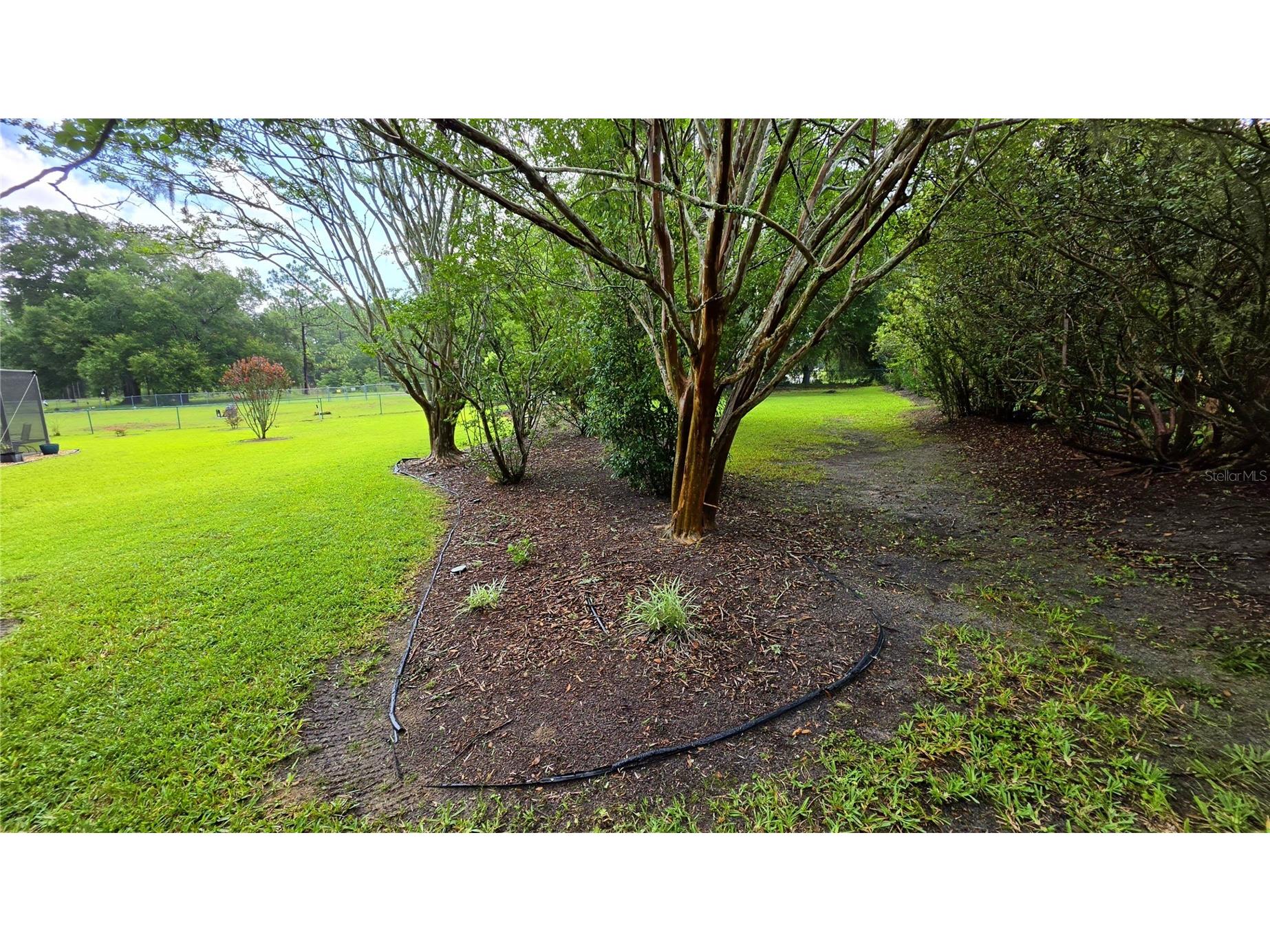 6008 SW 103rd Loop Ocala FL 34476 G5114420 image30