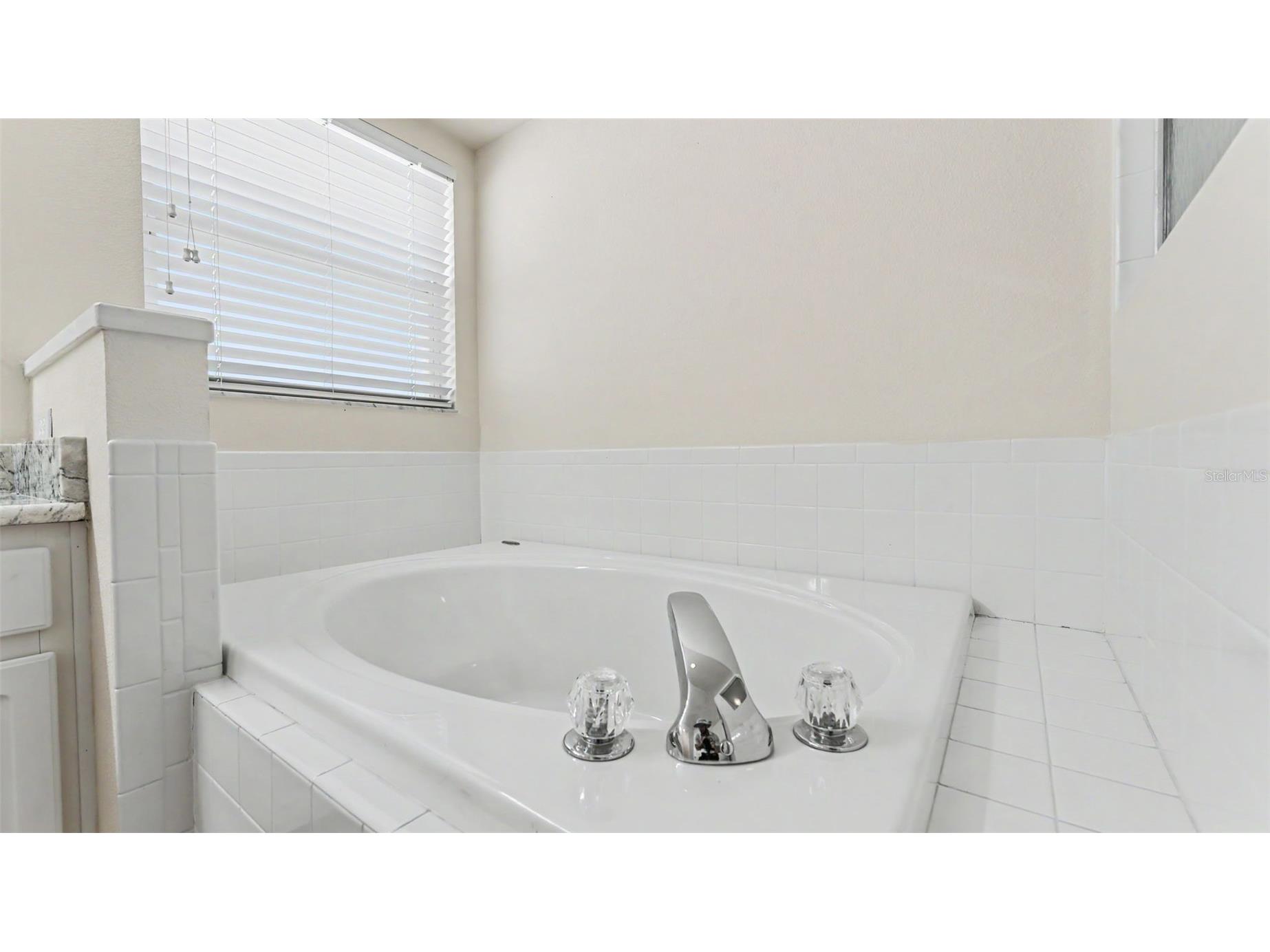6008 Swallow Drive Lakeland FL 33809 L4962545 image32