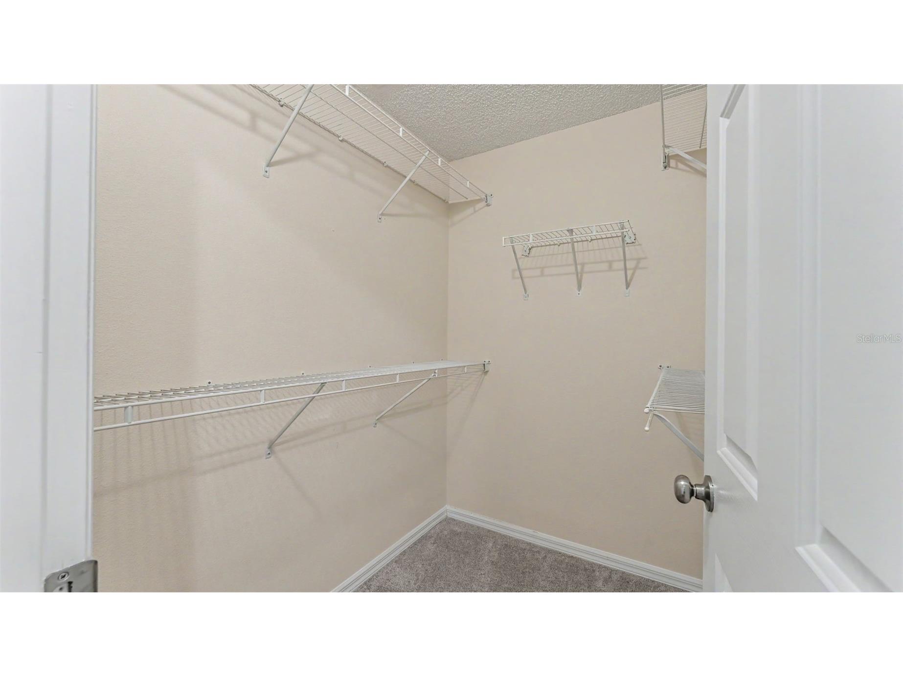 6008 Swallow Drive Lakeland FL 33809 L4962545 image34