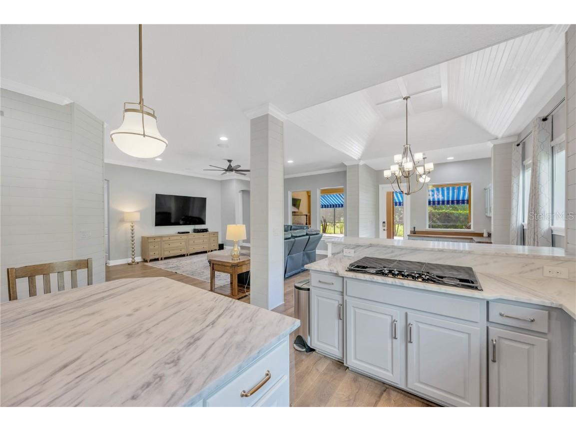 6008 Watercolor Drive Lithia FL 33547 TB8442666 image12