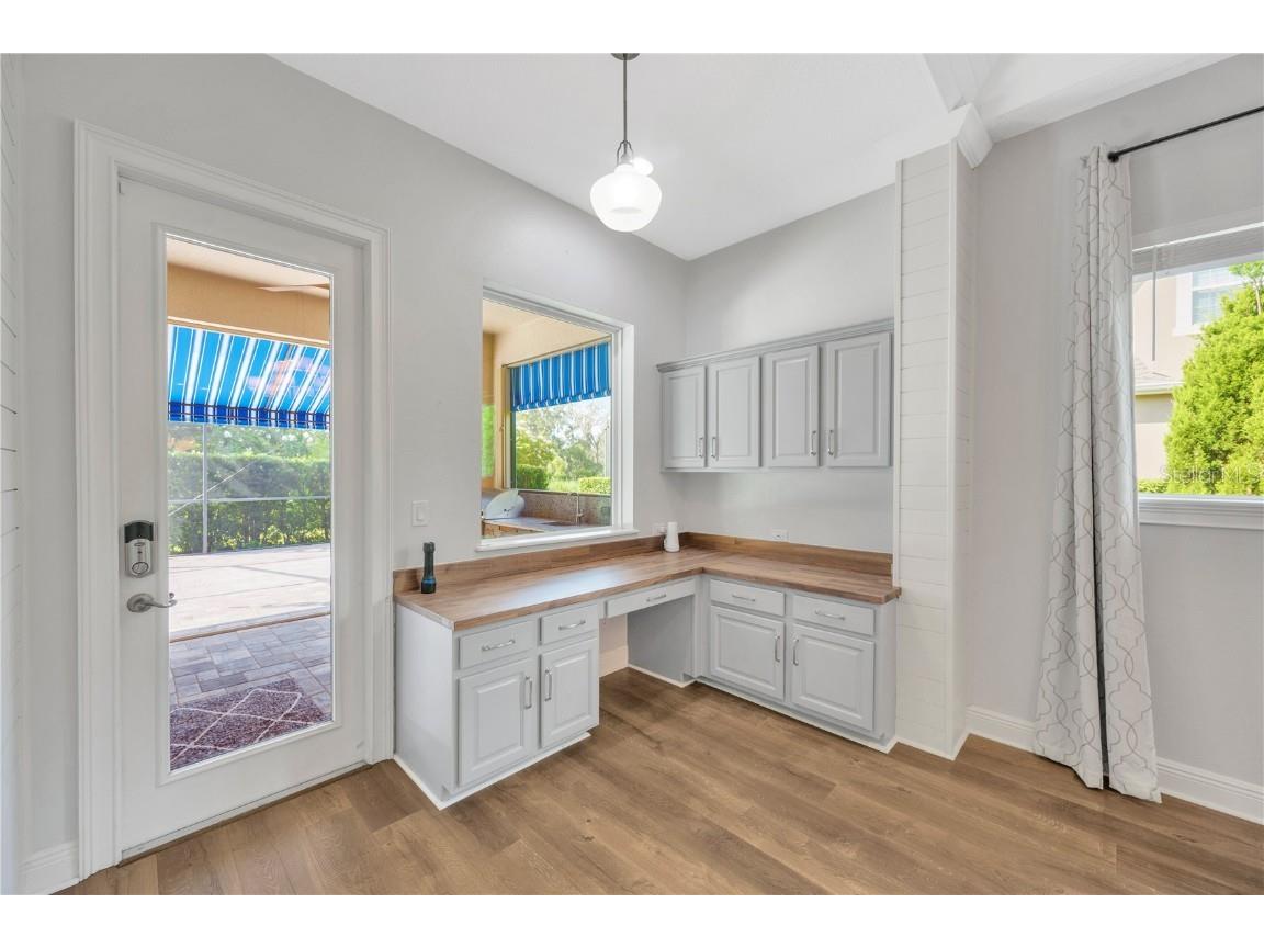 6008 Watercolor Drive Lithia FL 33547 TB8442666 image20