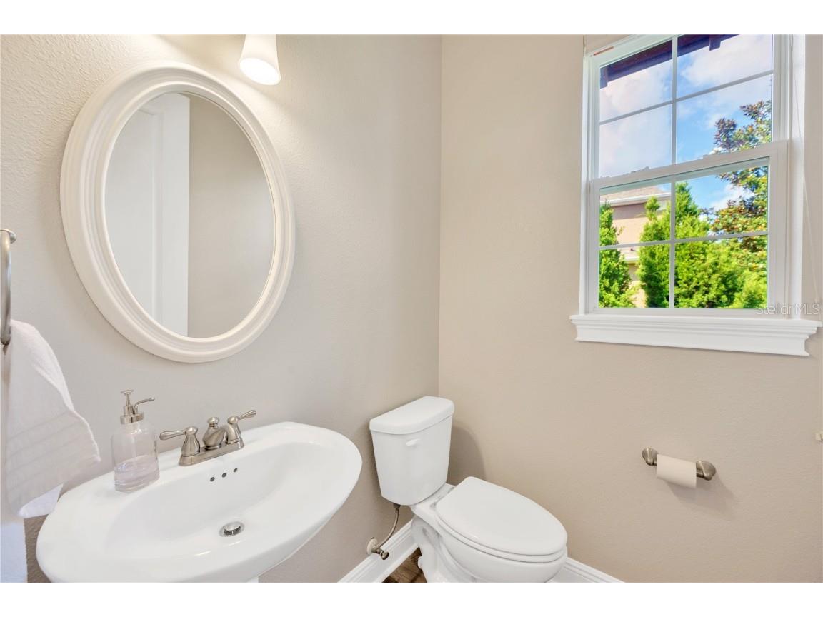 6008 Watercolor Drive Lithia FL 33547 TB8442666 image30