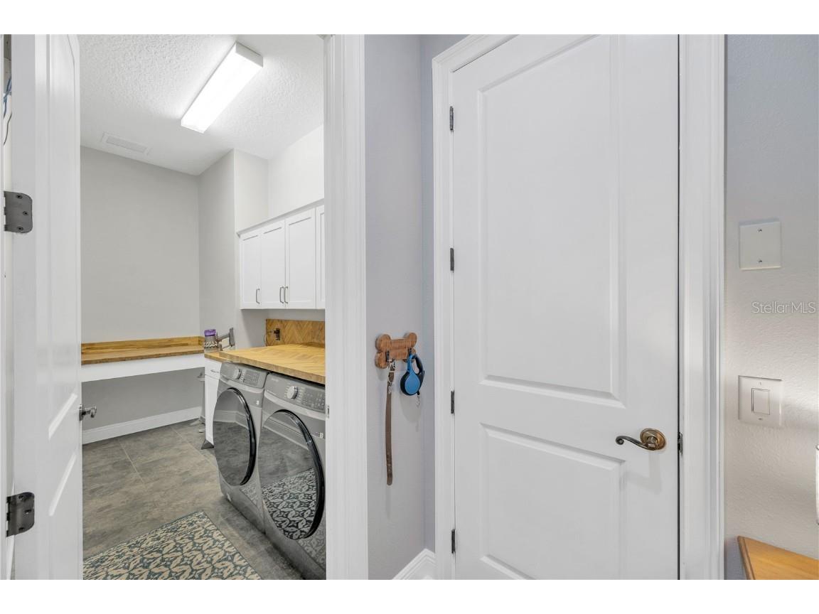 6008 Watercolor Drive Lithia FL 33547 TB8442666 image34