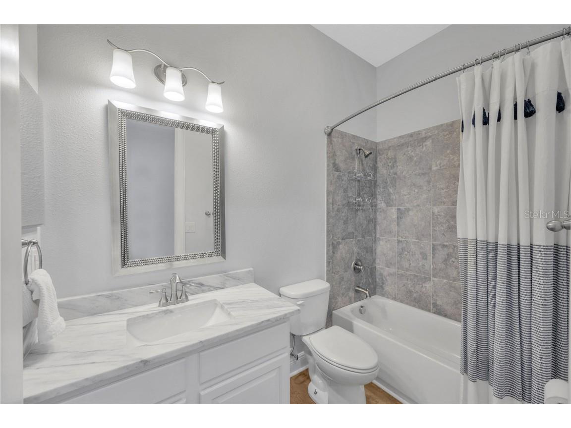 6008 Watercolor Drive Lithia FL 33547 TB8442666 image37