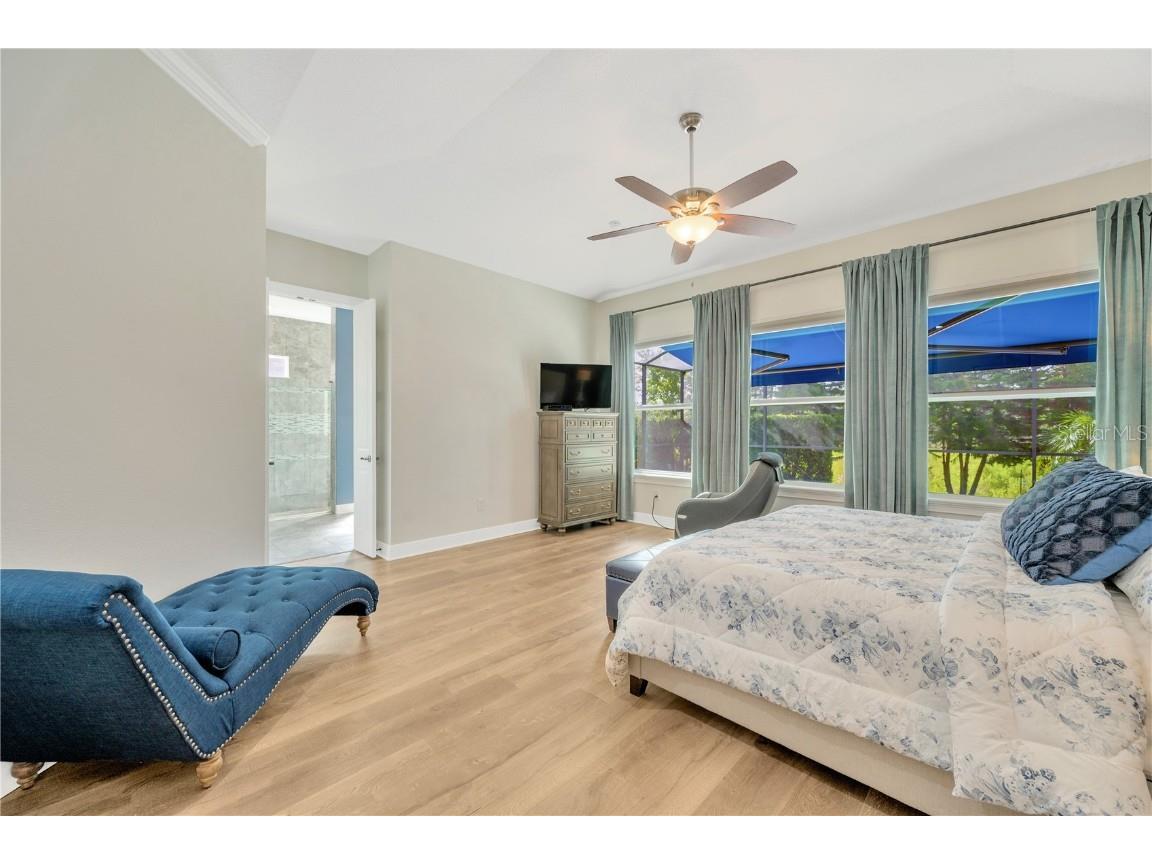 6008 Watercolor Drive Lithia FL 33547 TB8442666 image42