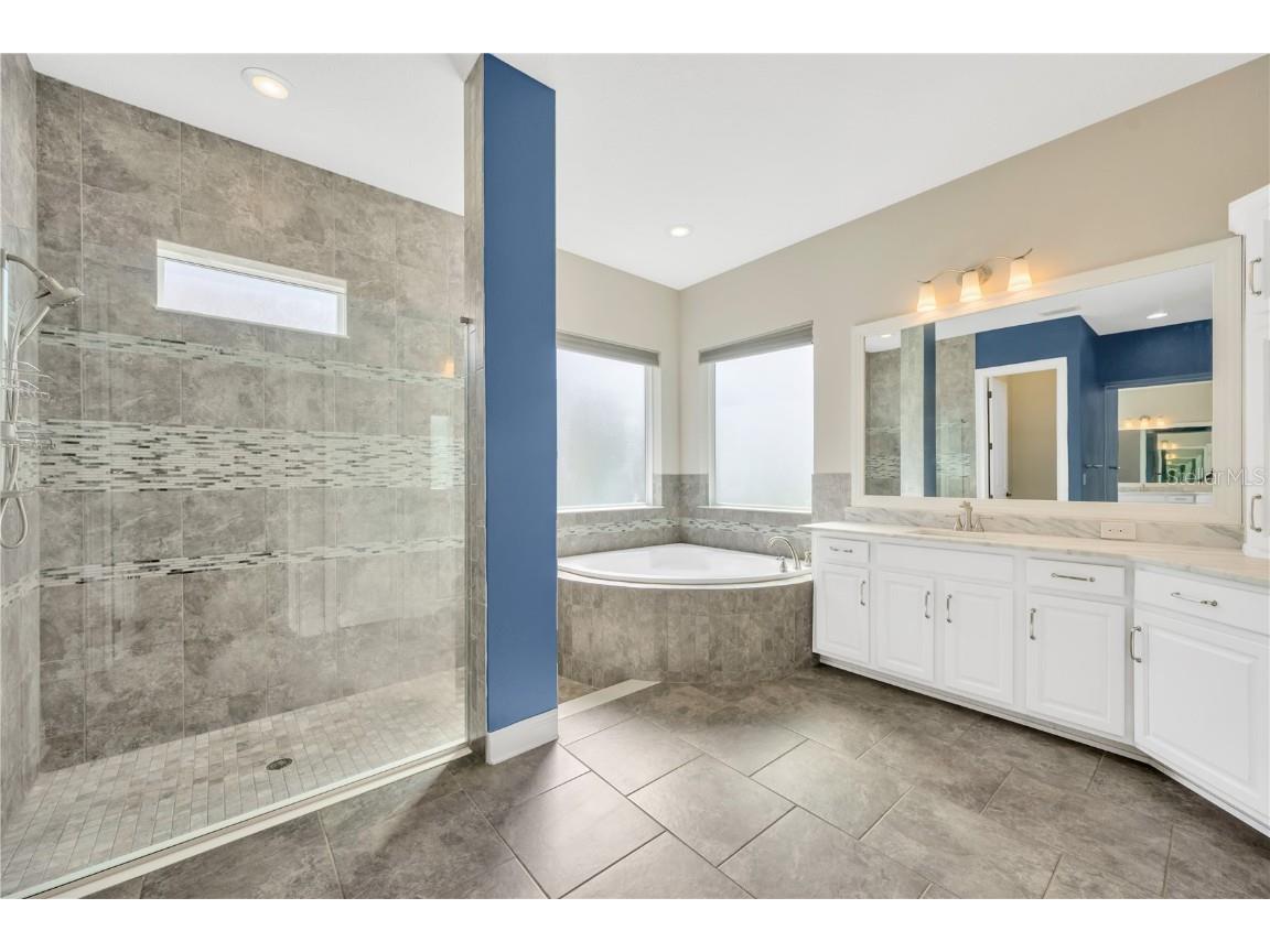 6008 Watercolor Drive Lithia FL 33547 TB8442666 image45