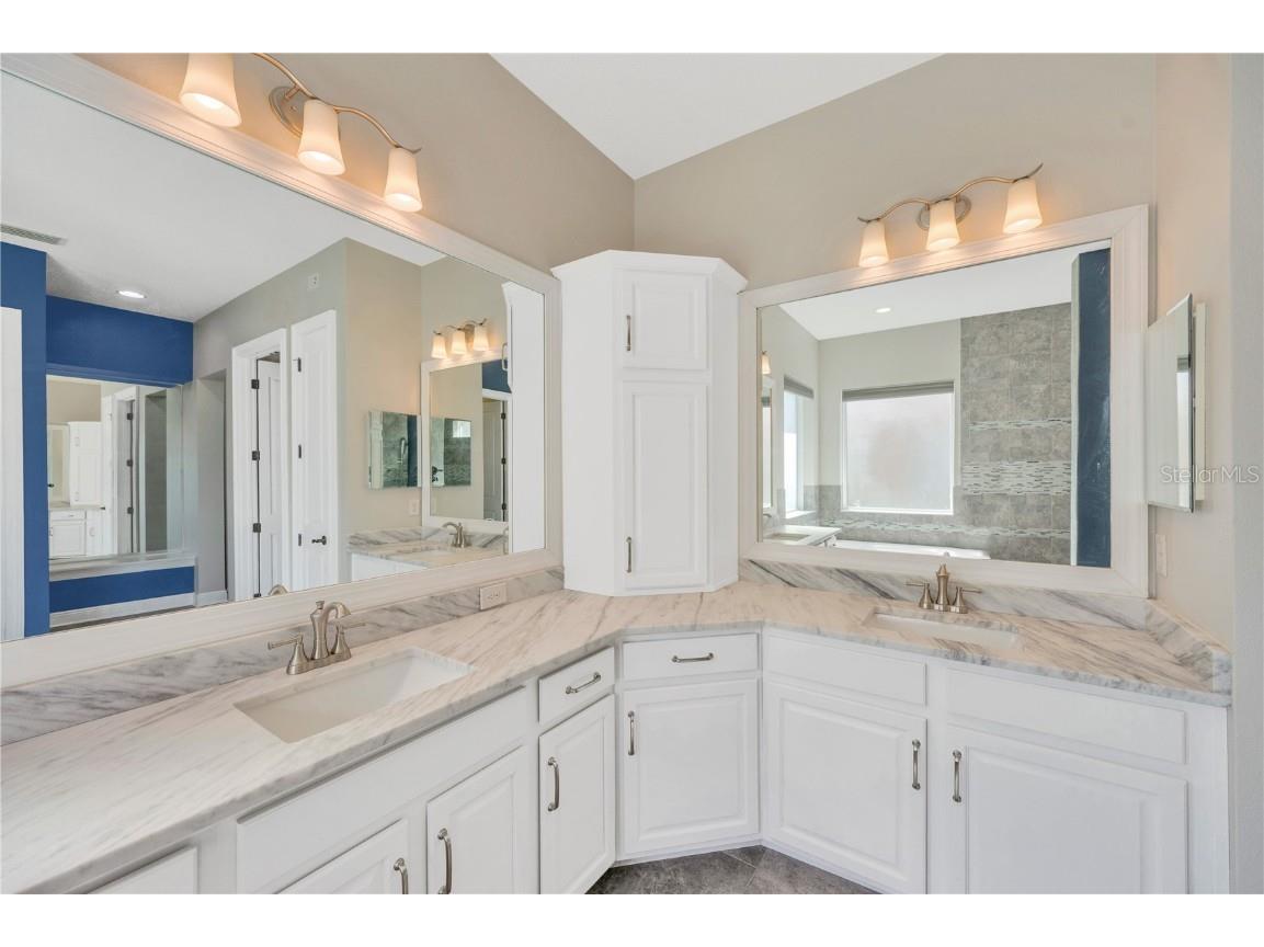 6008 Watercolor Drive Lithia FL 33547 TB8442666 image46