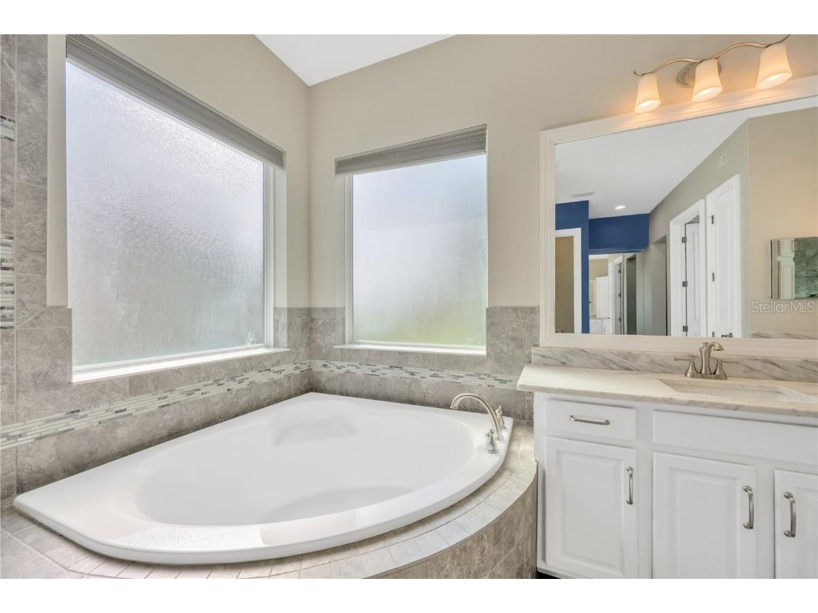 6008 Watercolor Drive Lithia FL 33547 TB8442666 image47