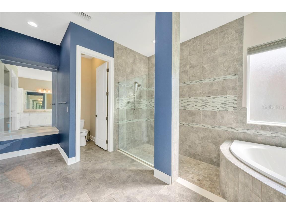 6008 Watercolor Drive Lithia FL 33547 TB8442666 image49