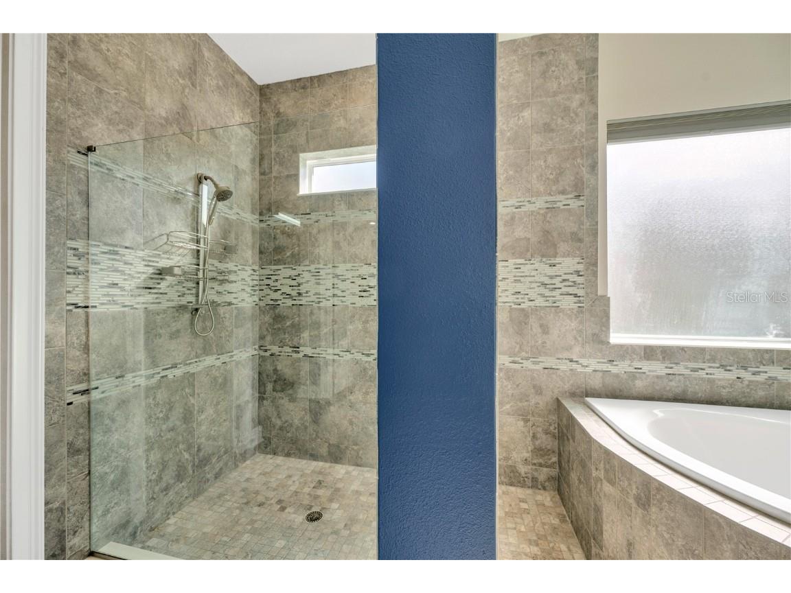 6008 Watercolor Drive Lithia FL 33547 TB8442666 image50