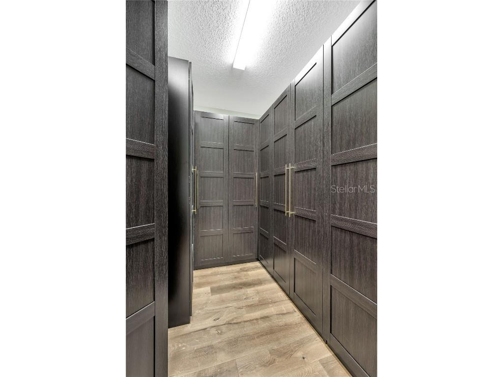 6008 Watercolor Drive Lithia FL 33547 TB8442666 image52