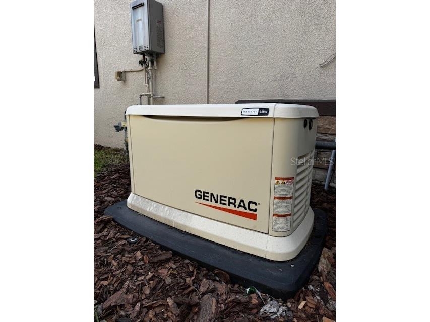 6008 Watercolor Drive Lithia FL 33547 TB8442666 image6