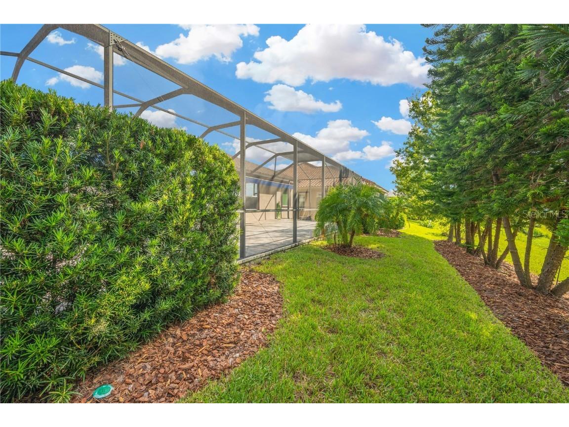 6008 Watercolor Drive Lithia FL 33547 TB8442666 image63