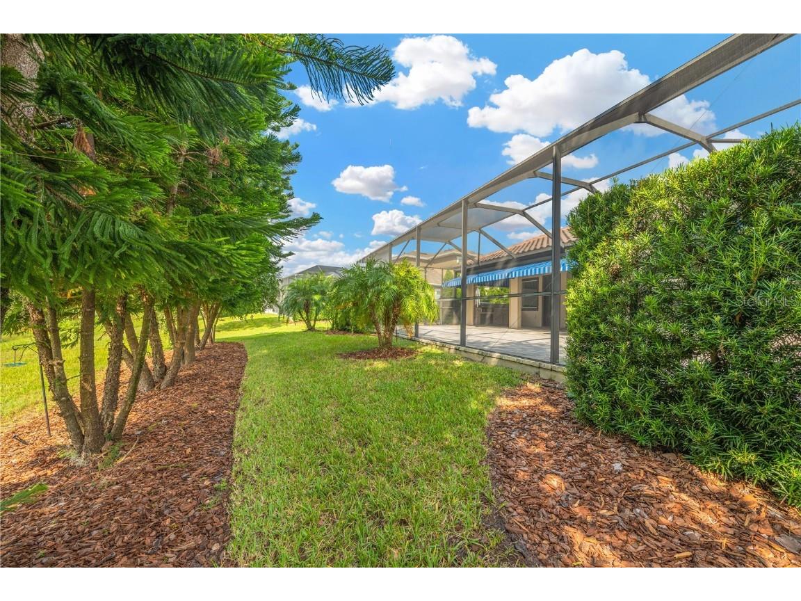 6008 Watercolor Drive Lithia FL 33547 TB8442666 image64