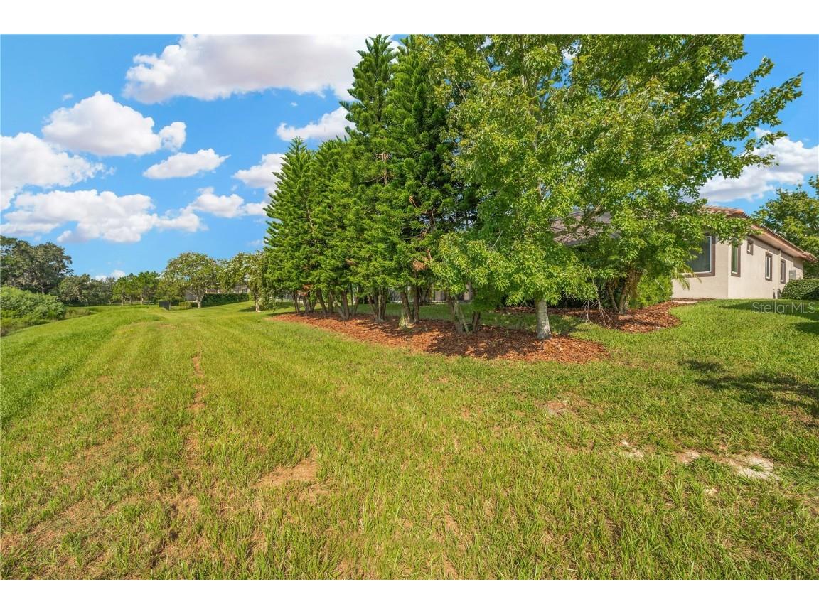 6008 Watercolor Drive Lithia FL 33547 TB8442666 image66