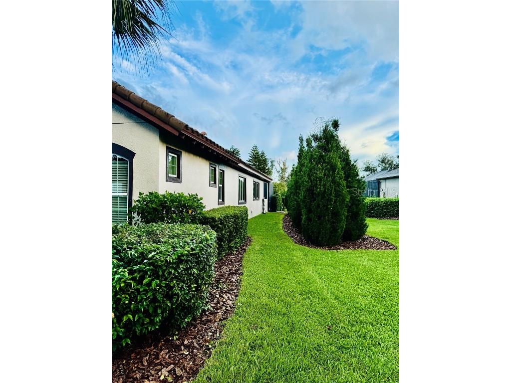 6008 Watercolor Drive Lithia FL 33547 TB8442666 image71