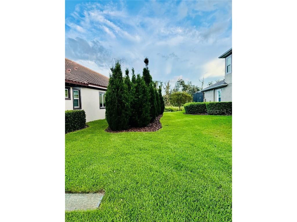 6008 Watercolor Drive Lithia FL 33547 TB8442666 image72