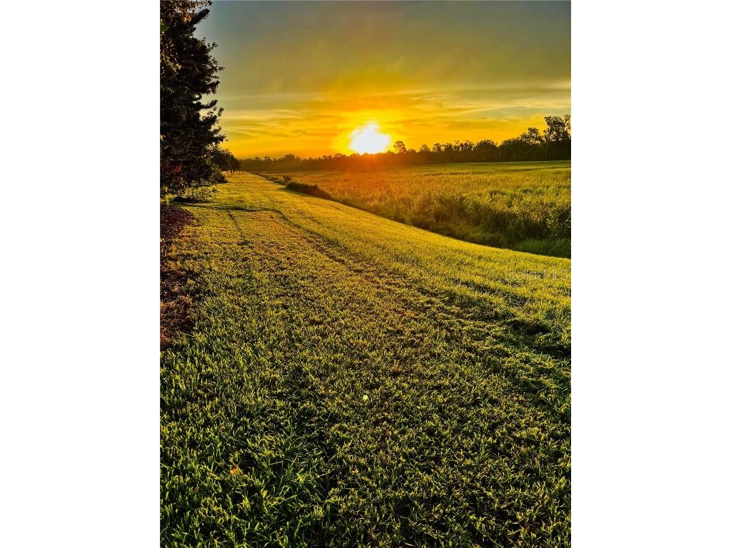 6008 Watercolor Drive Lithia FL 33547 TB8442666 image73