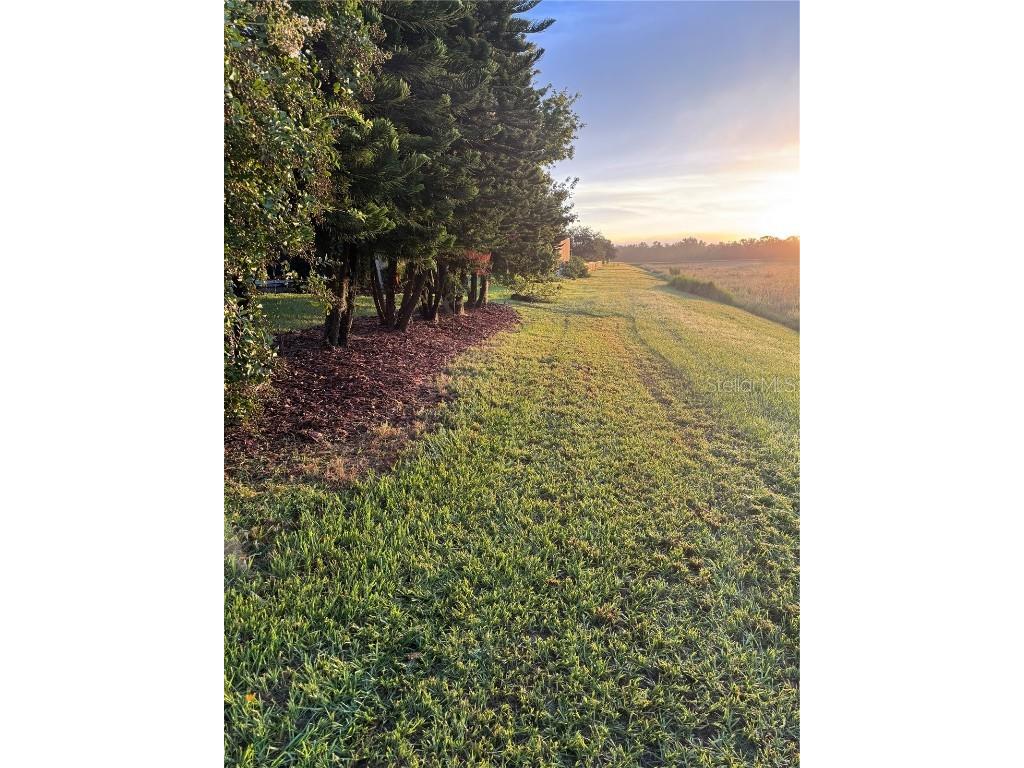 6008 Watercolor Drive Lithia FL 33547 TB8442666 image74