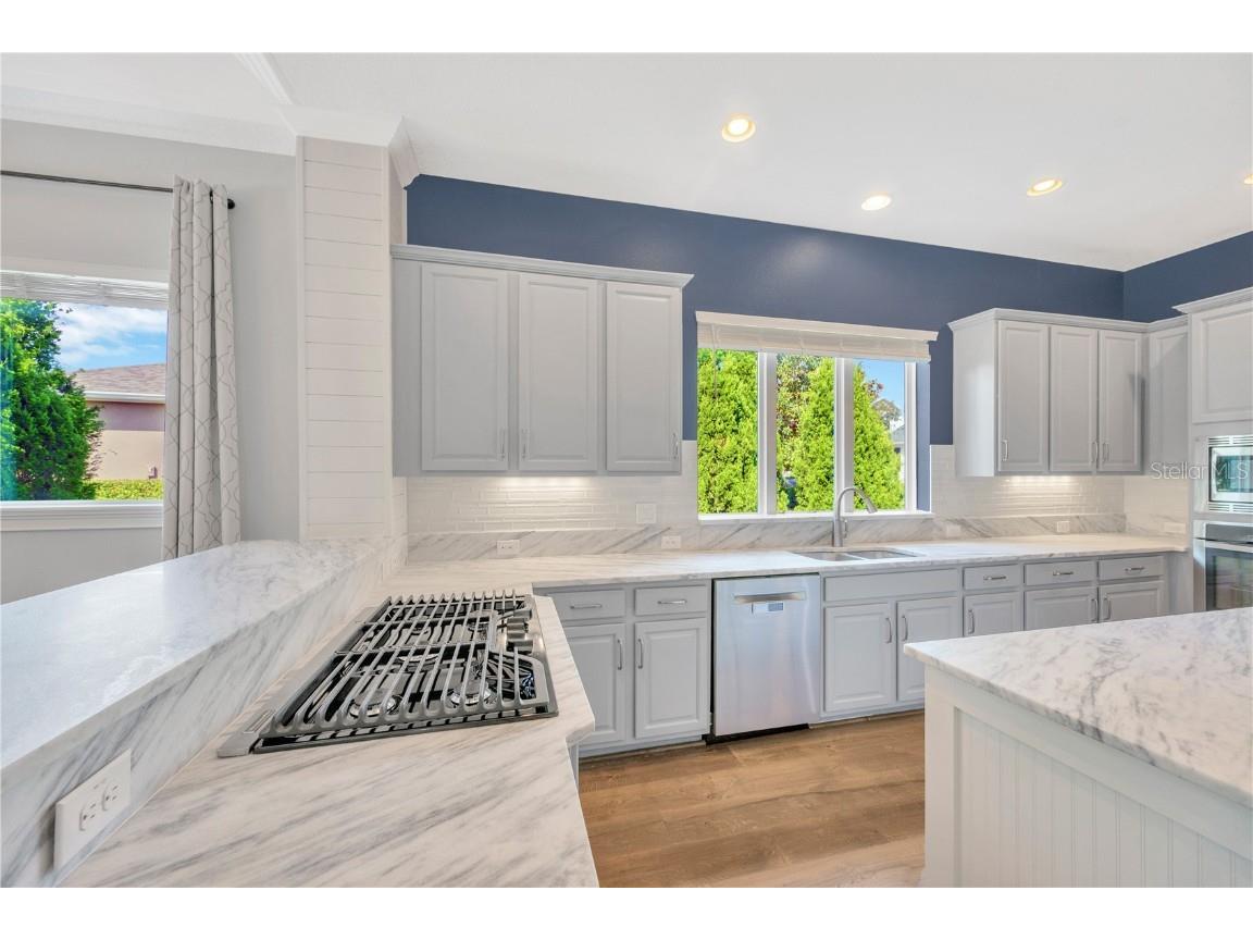 6008 Watercolor Drive Lithia FL 33547 TB8442666 image9