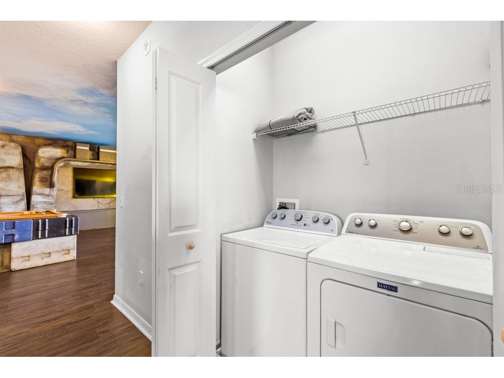 6009 Broad Oak Drive Davenport FL 33837 O6376209 image39