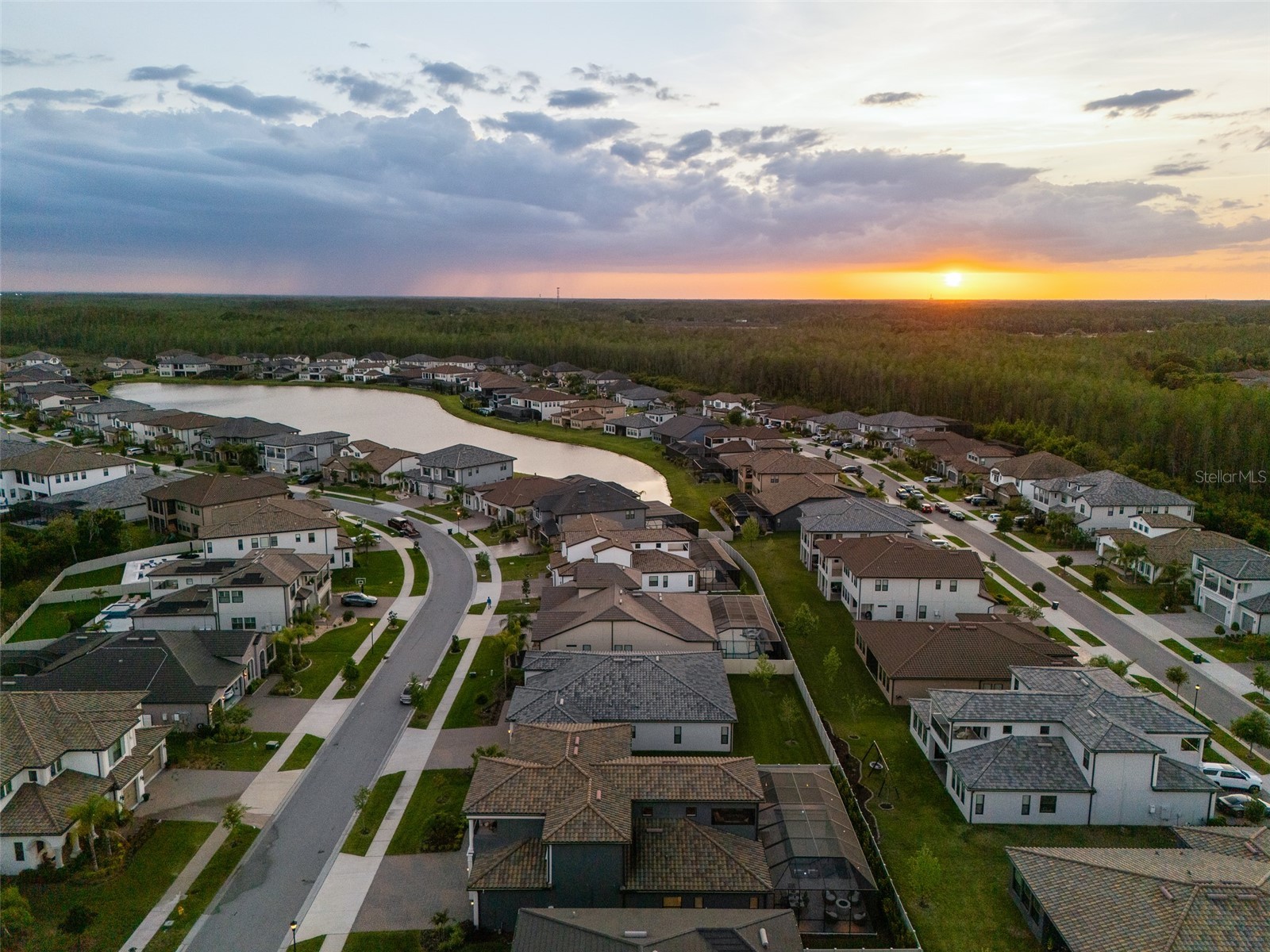 6009 Marsh Trail Drive Odessa FL 33556 TB8495726 image47