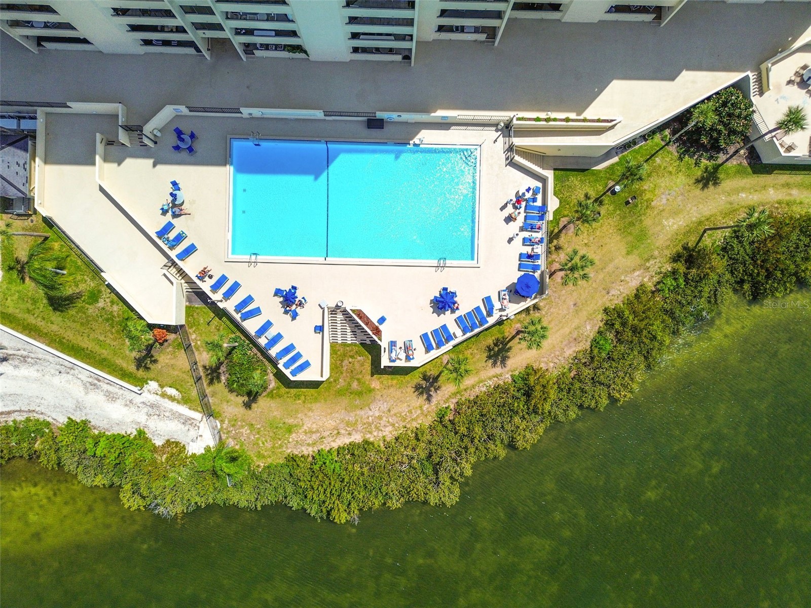 6009 Sea Ranch Drive #107 Hudson FL 34667 TB8498459 image44