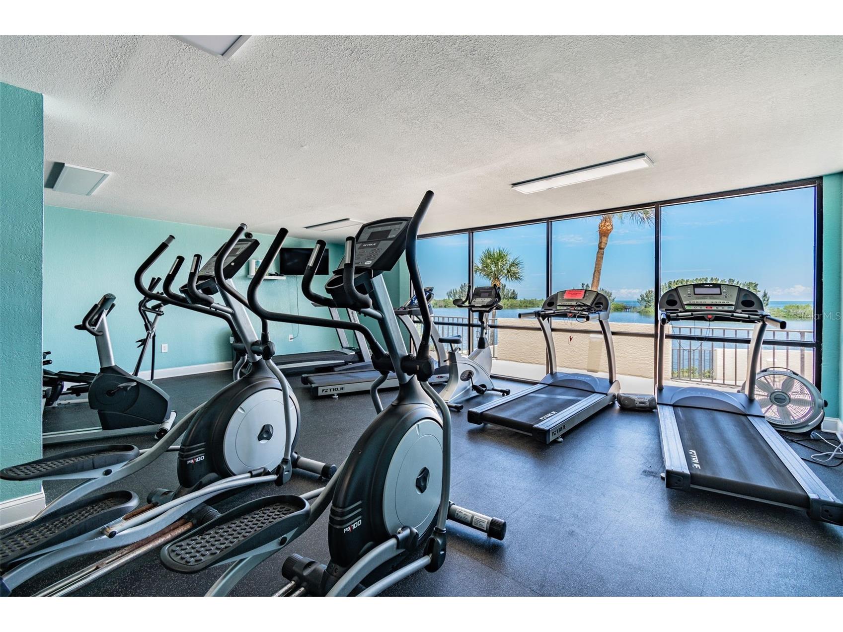 6009 Sea Ranch Drive #107 Hudson FL 34667 TB8498459 image85
