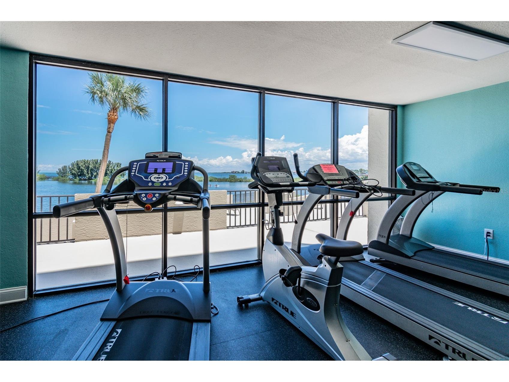 6009 Sea Ranch Drive #107 Hudson FL 34667 TB8498459 image86