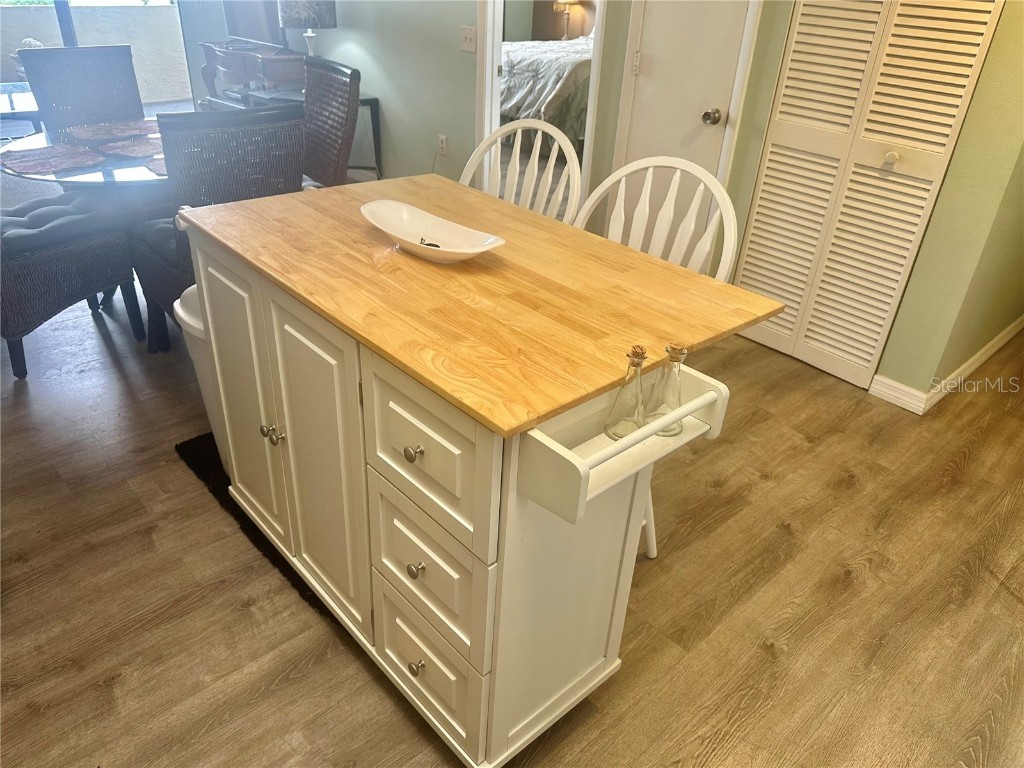 6009 Sea Ranch Drive #203 Hudson FL 34667 - GULF OF AMERICA S5129333 image20