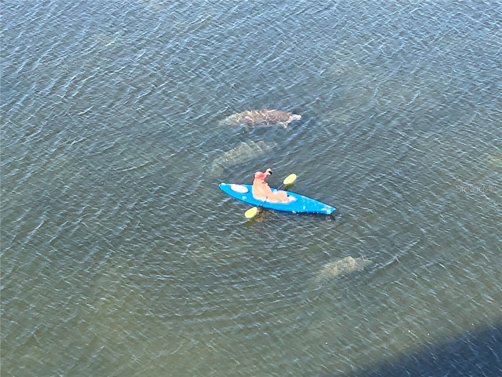 6009 Sea Ranch Drive #203 Hudson FL 34667 - GULF OF AMERICA S5129333 image55