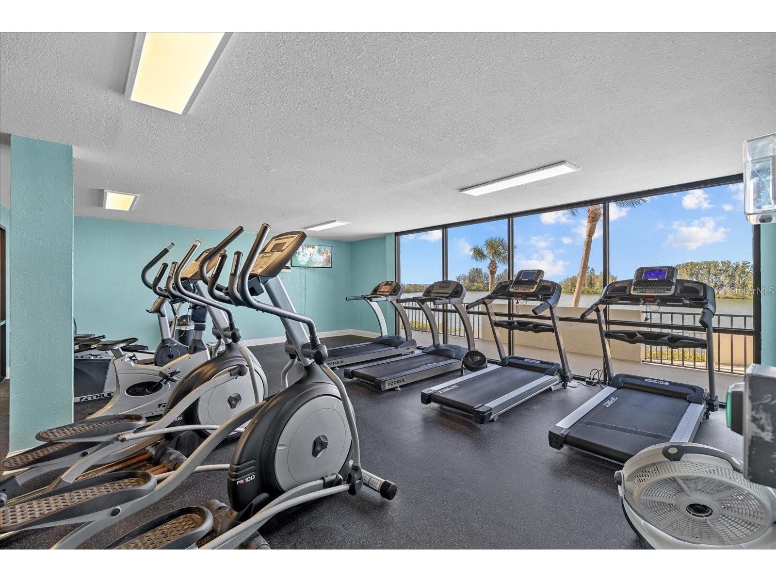 6009 Sea Ranch Drive #303 Hudson FL 34667 TB8484712 image31