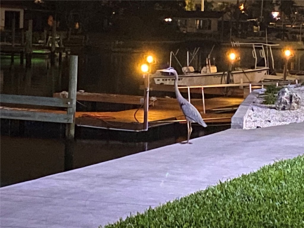 6009 Sea Ranch Drive #314 Hudson FL 34667 - GULF OF AMERICA S5138066 image26