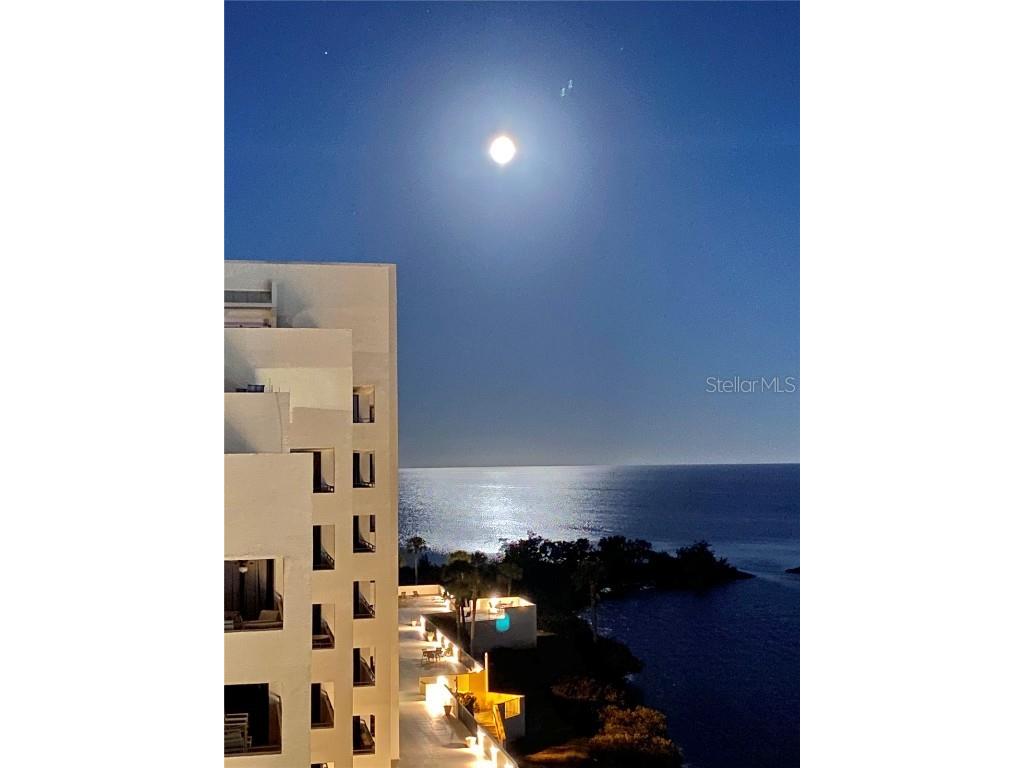 6009 Sea Ranch Drive #608 Hudson FL 34667 - GULF OF AMERICA S5132475 image73