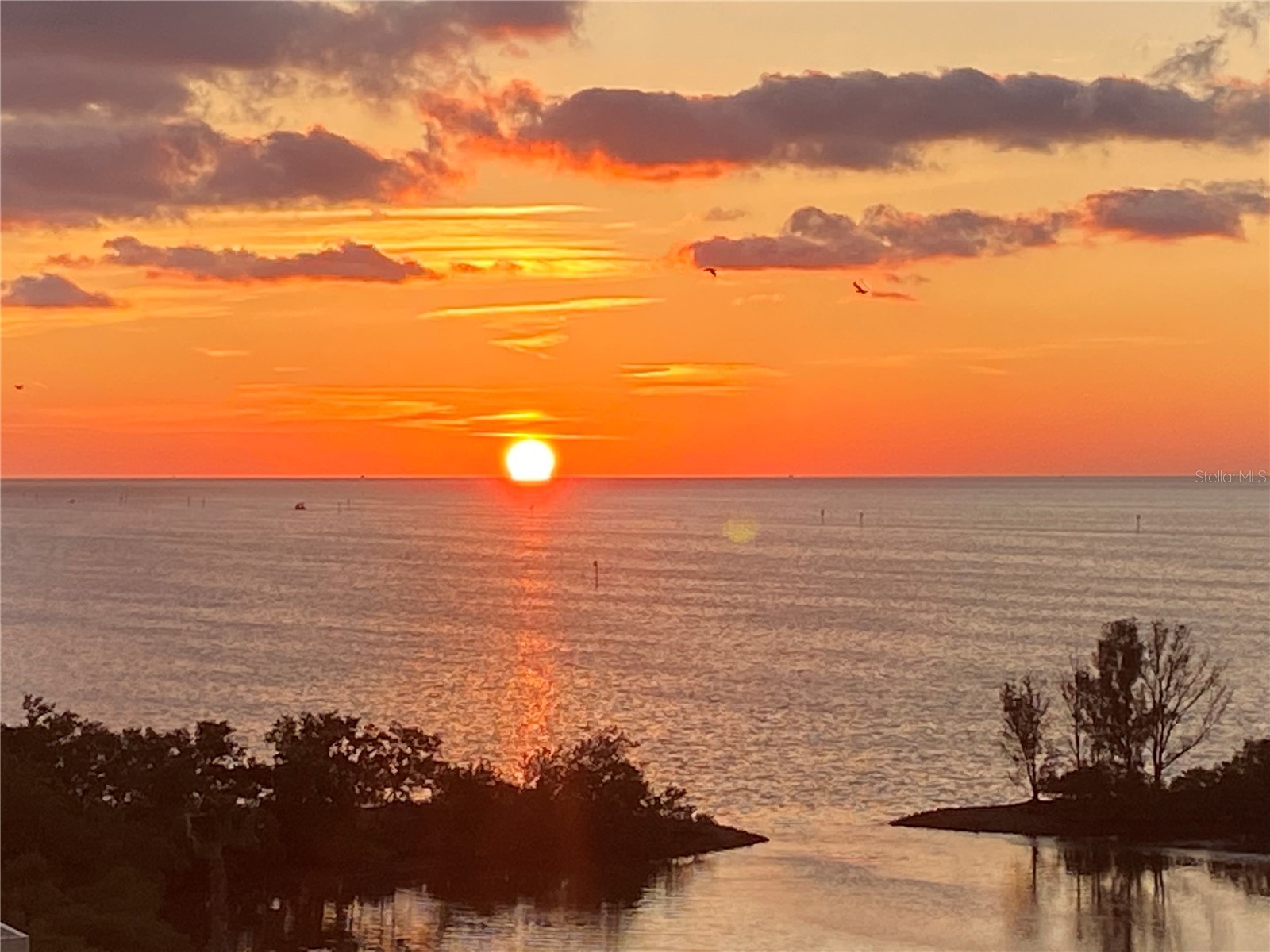 6009 Sea Ranch Drive #704 Hudson FL 34667 - GULF OF MEXICO S5143394 image36