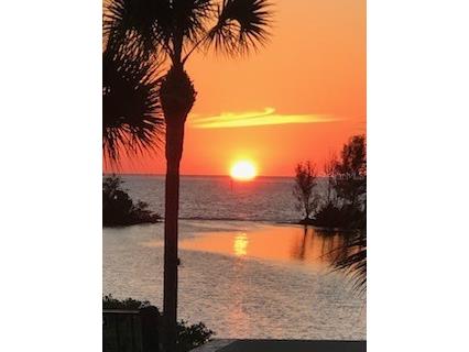 6009 Sea Ranch Drive #707 Hudson FL 34667 - GULF OF AMERICA S5145806 image61