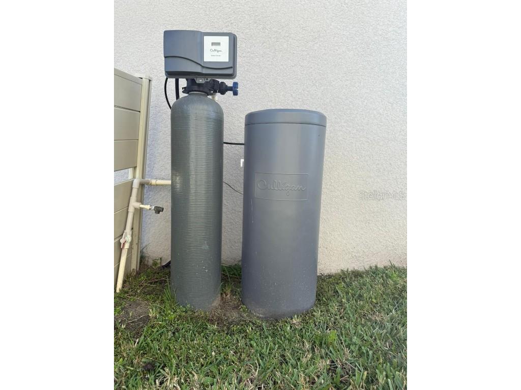 6009 Wandering Willow Dr Wesley Chapel FL 33545 O6363946 image12