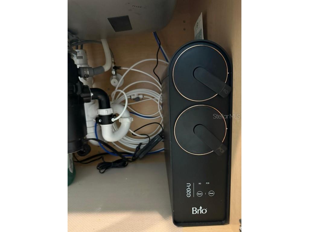 6009 Wandering Willow Dr Wesley Chapel FL 33545 O6363946 image13