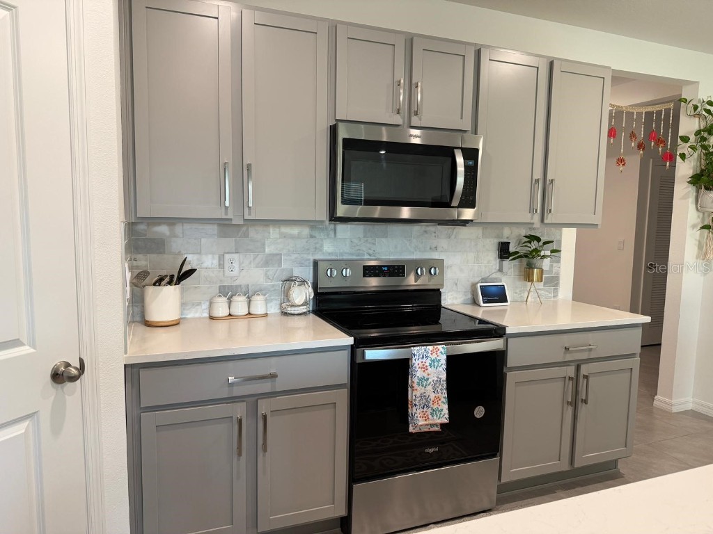 6009 Wandering Willow Dr Wesley Chapel FL 33545 O6363946 image3