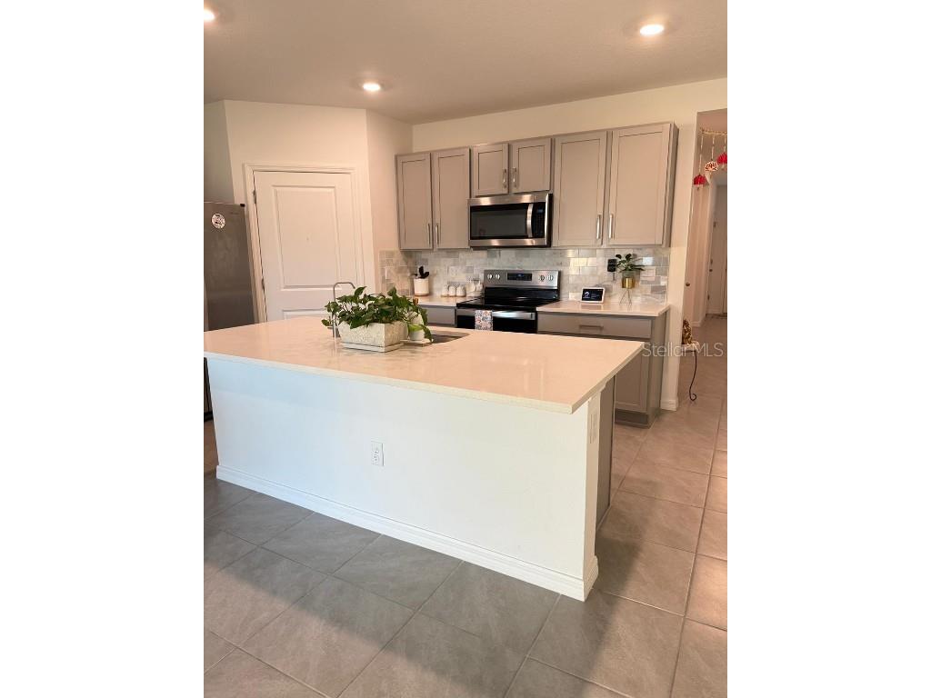 6009 Wandering Willow Dr Wesley Chapel FL 33545 O6363946 image4