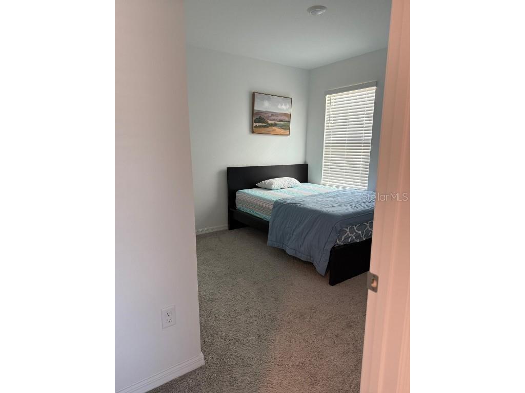 6009 Wandering Willow Dr Wesley Chapel FL 33545 O6363946 image8